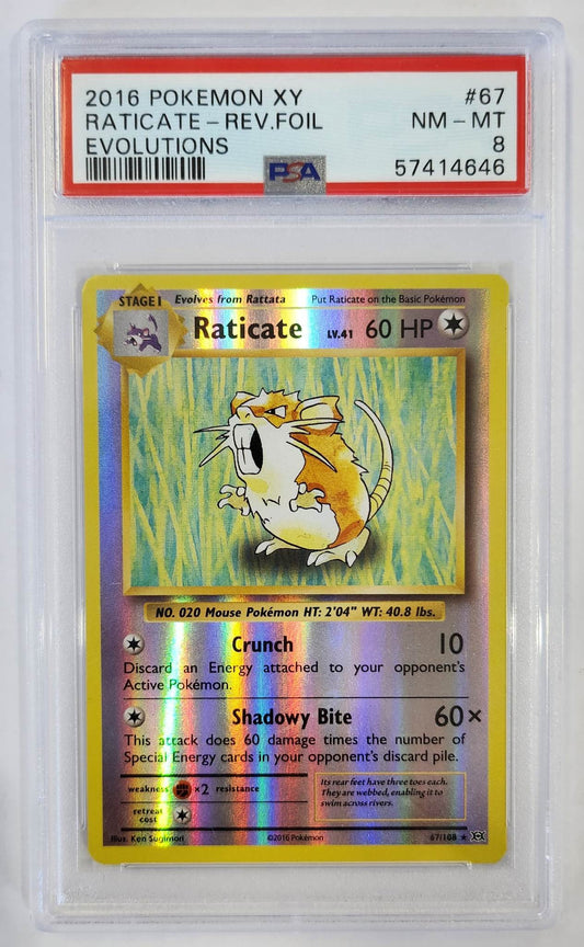 2016 Pokemon Xy Evolutions 67 Raticate-Rev.Foil Evolutions