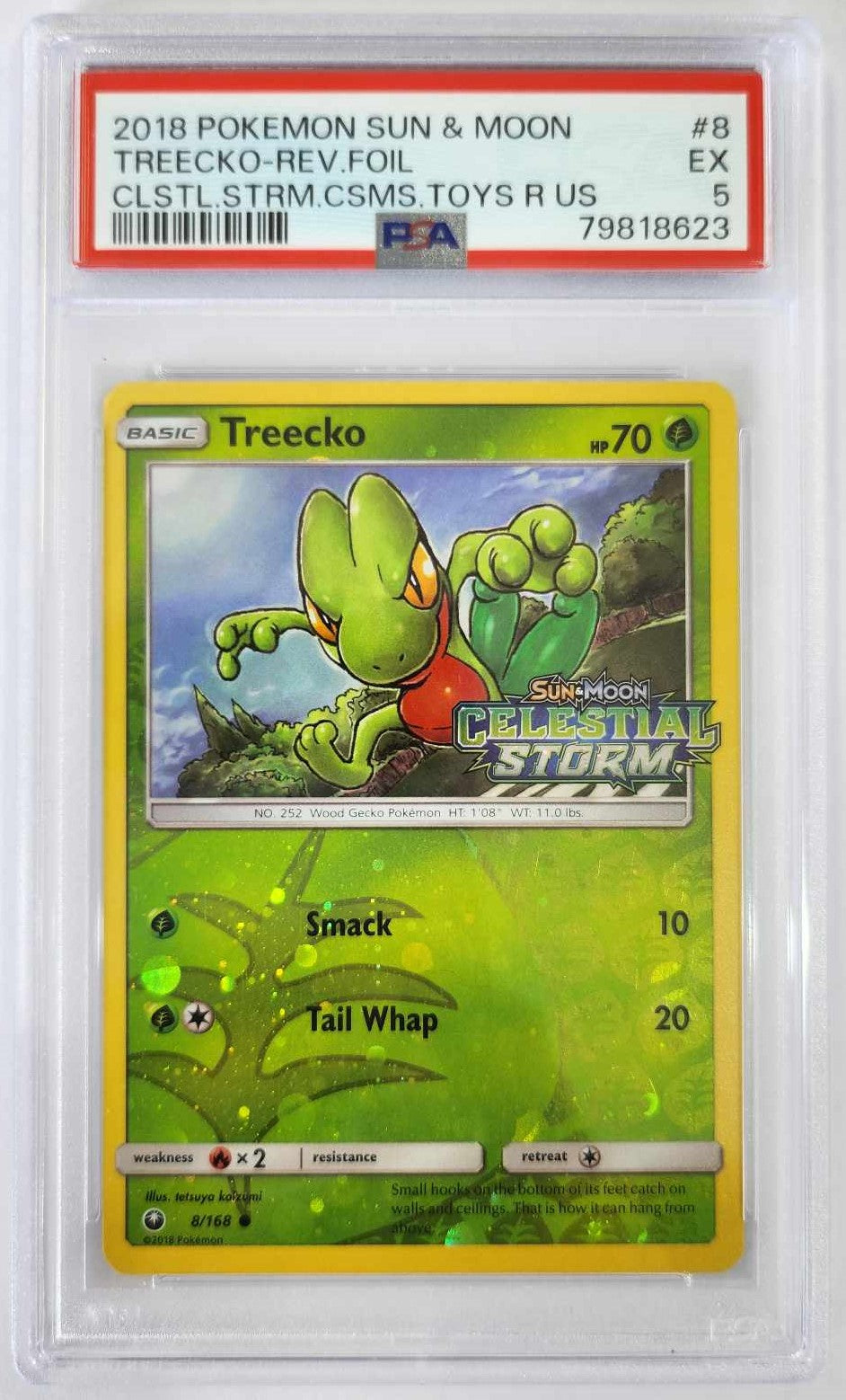 Pokemon Graded Cards and Singles