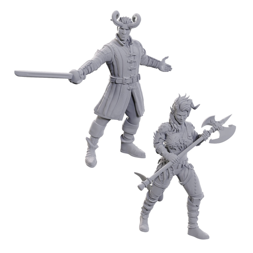 D&D Nolzur's Marvelous Miniatures: Special Edition – Baldur's Gate 3: Wyll & Karlach