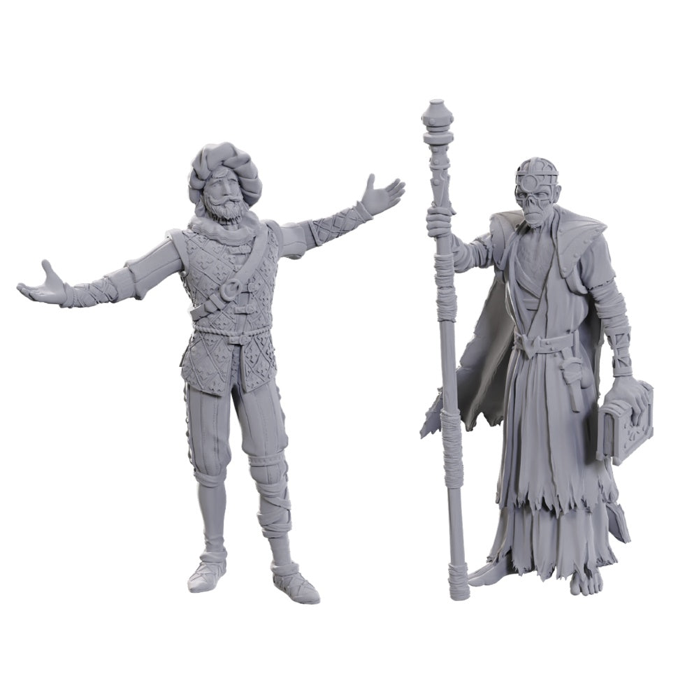 D&D Nolzur's Marvelous Miniatures: Special Edition – Baldur's Gate 3: Volo & Withers