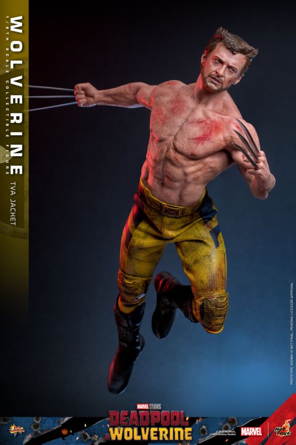 Deadpool & Wolverine - Wolverine (TVA Jacket) 1:6 Scale Collectable Action Figure