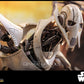 Star Wars: Revenge of the Sith - General Grievous 1:6 Scale Collectable Action Figure