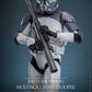 Star Wars - 104th Battalion Wolfpack Clone Trooper Deluxe 1:6 Scale Collectable Action Figure