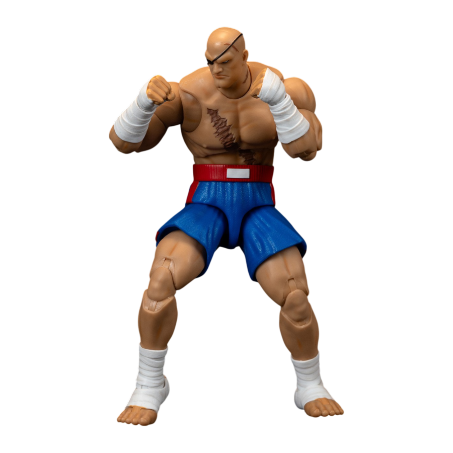 Street Fighter II - 6" Sagat Figure