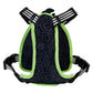 Bettlejuice - Cosplay Mini Backpack Dog Harness (Medium)