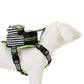 Bettlejuice - Cosplay Mini Backpack Dog Harness (Medium)