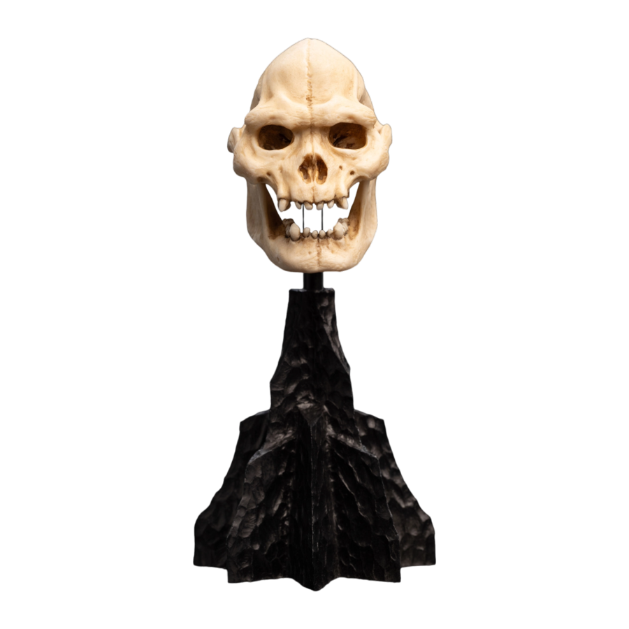 The Lord of the Rings - Skull of Lurtz Miniature Skull