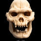 The Lord of the Rings - Skull of Lurtz Miniature Skull