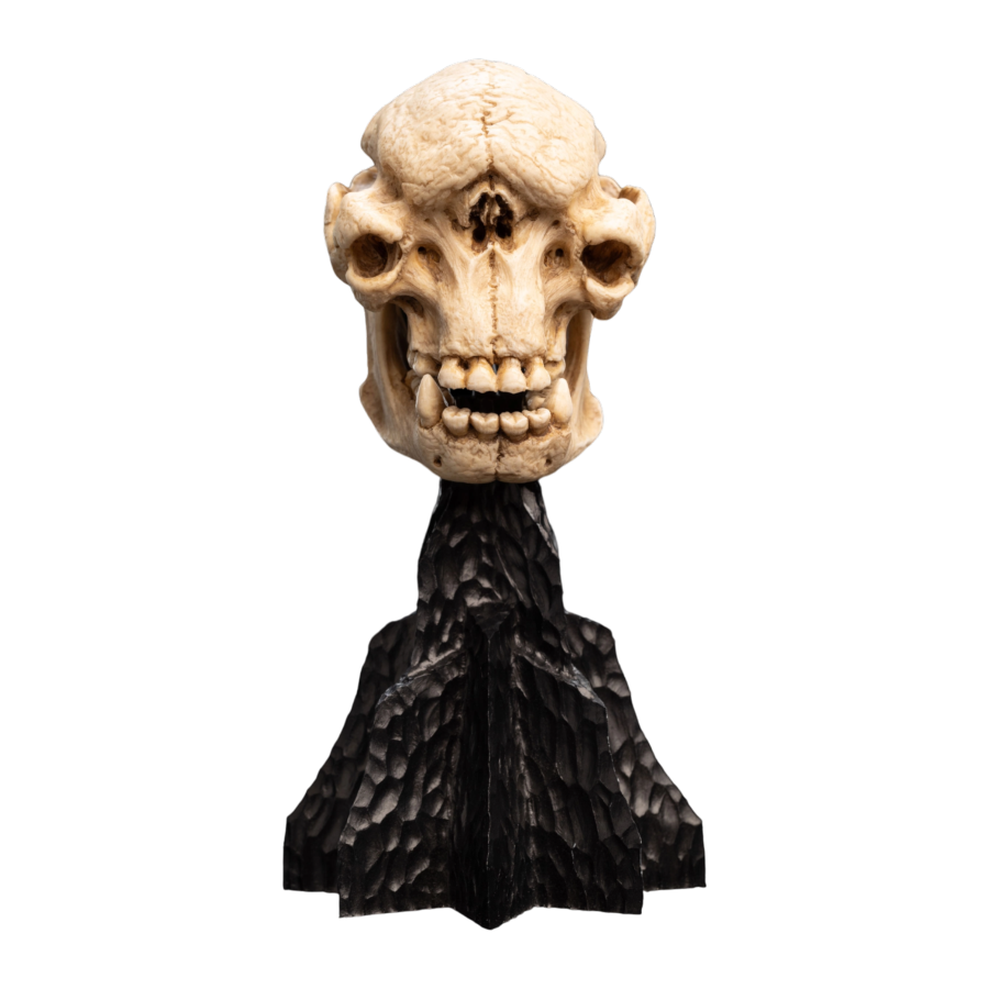 The Lord of the Rings - Skull of a Cave Troll Miniature Skull