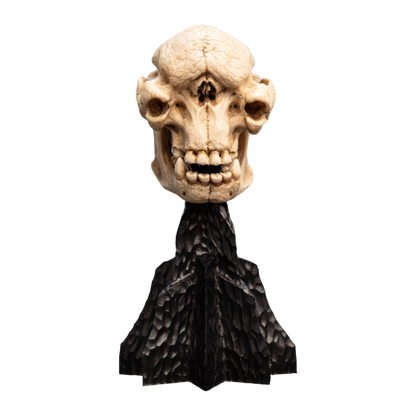 The Lord of the Rings - Skull of a Cave Troll Miniature Skull