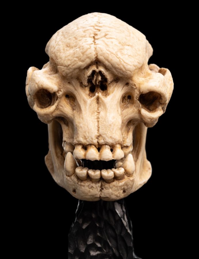 The Lord of the Rings - Skull of a Cave Troll Miniature Skull