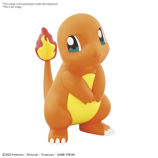 POKEMON - MODEL KIT QUICK!! 11 CHARMANDER