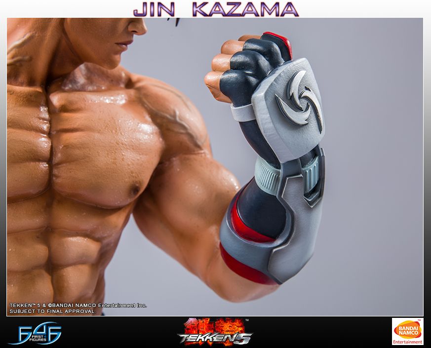 Tekken 5 - Jin Kazama 19" Statue