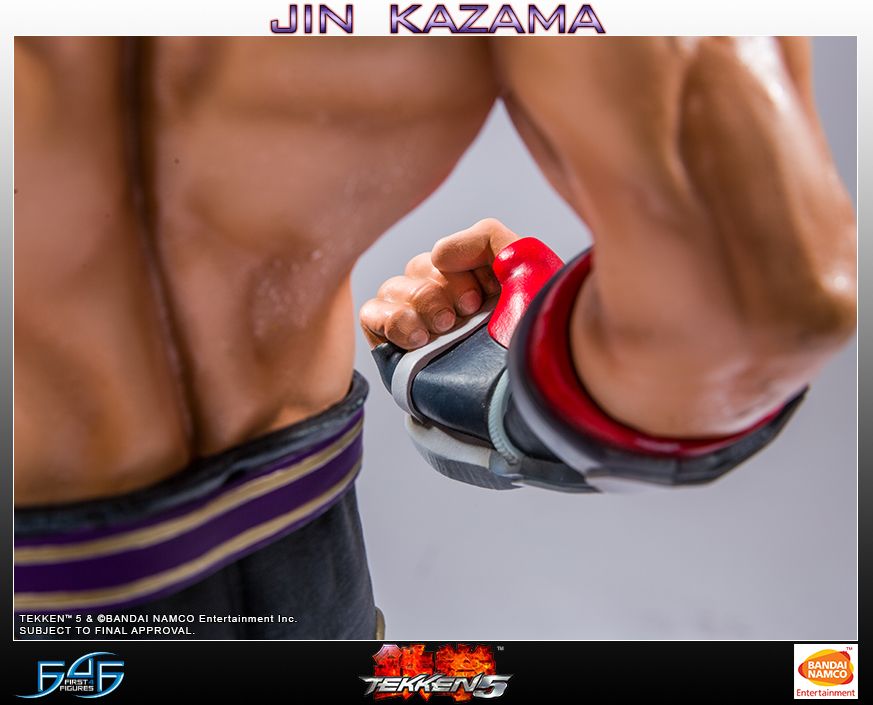 Tekken 5 - Jin Kazama 19" Statue