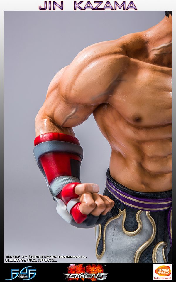 Tekken 5 - Jin Kazama 19" Statue