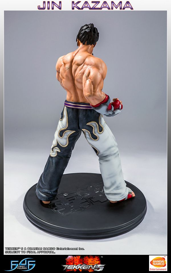 Tekken 5 - Jin Kazama 19" Statue