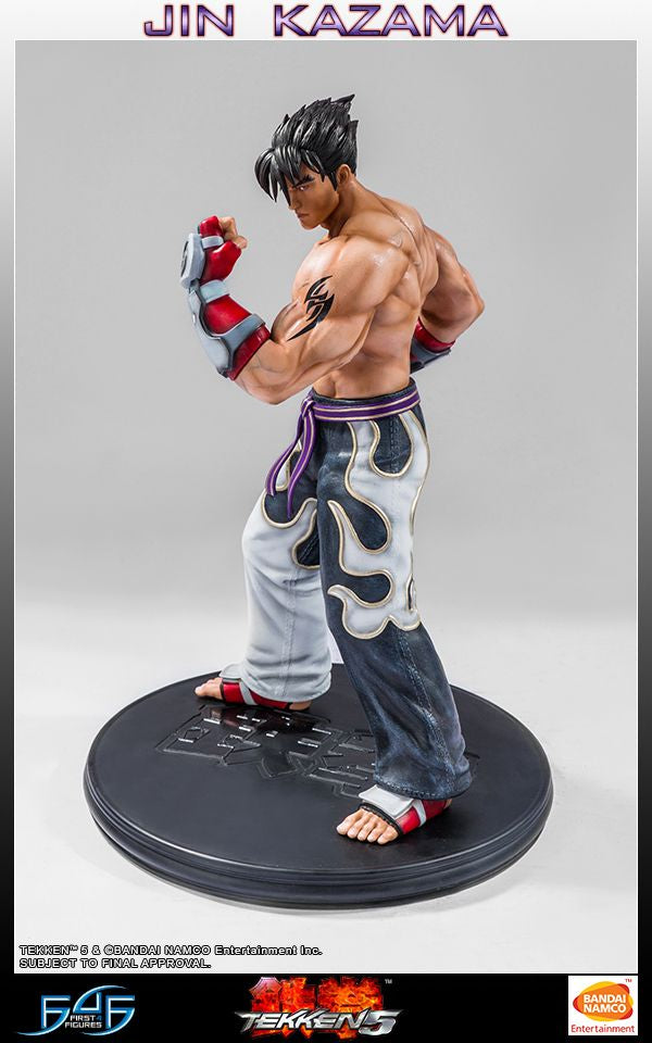 Tekken 5 - Jin Kazama 19" Statue