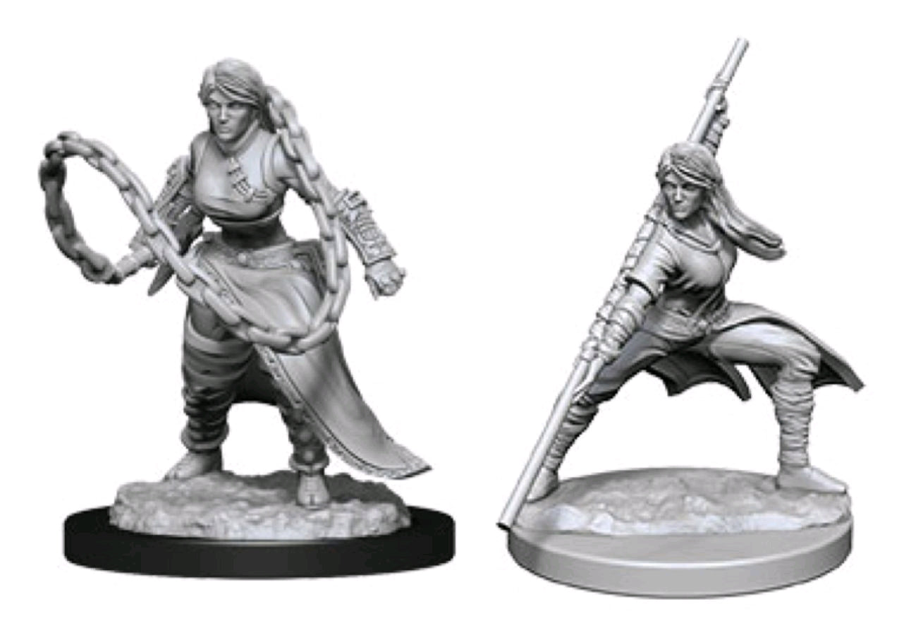 Dungeons & Dragons - Nolzur's Marvelous Unpainted Miniatures: Human Monk Male