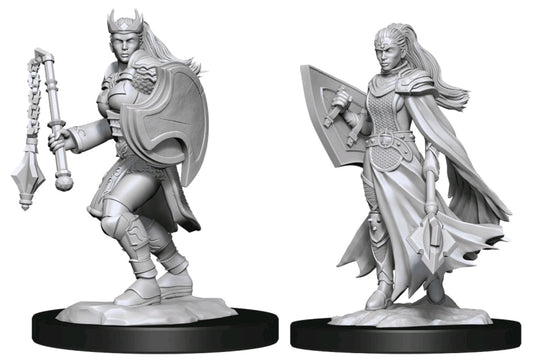 Dungeons & Dragons - Nolzur's Marvelous Unpainted Miniatures: Kalashtar Cleric Female