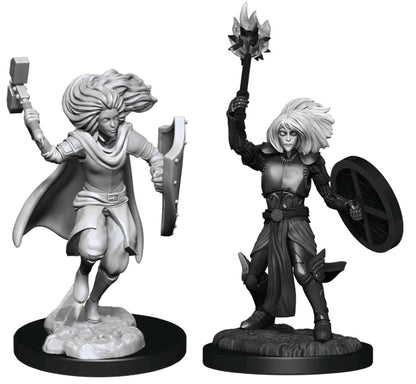 Dungeons & Dragons - Nolzur's Marvelous Unpainted Miniatures: Changeling Cleric Male